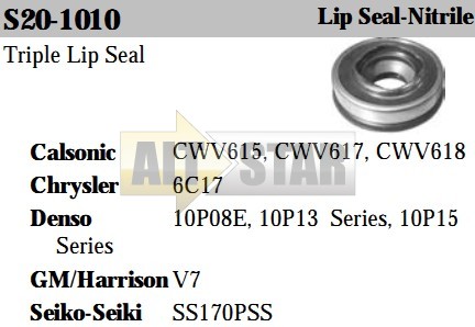 S20-1010 S20-1010